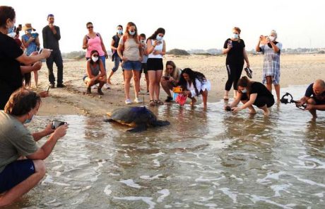 רגע מרגש: כפיר חוזר הביתה