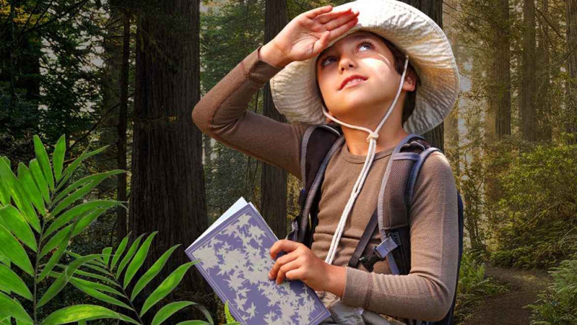 היער הקסום  –  כשהאגדות מתעוררות לחיים