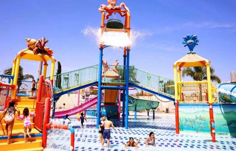 קיץ 2022 בפארק המים הגדול בישראל: ימית 2000 ספארק המים, חולון