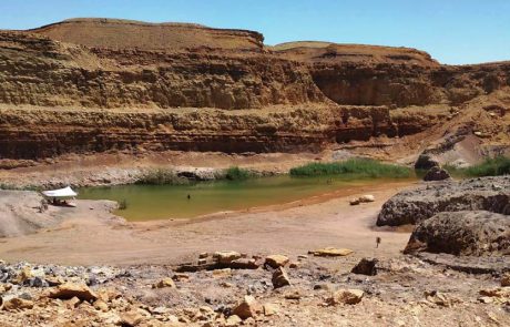 “לילות קיץ קרירים” בהר הנגב: חופשה משפחתית בטוחה