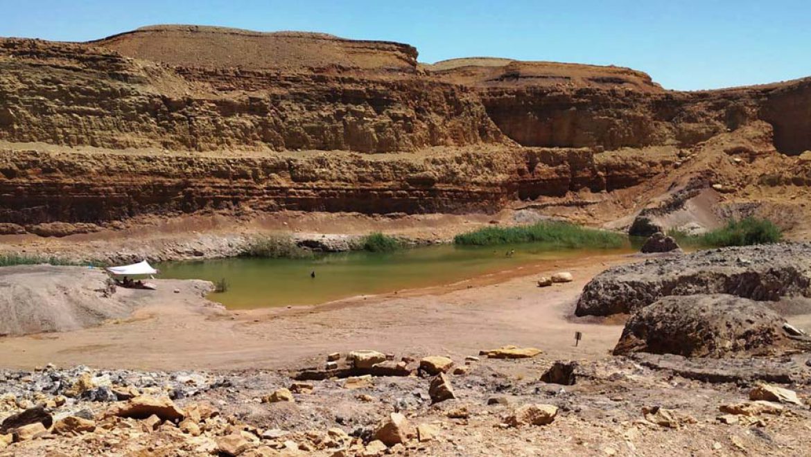 “לילות קיץ קרירים” בהר הנגב: חופשה משפחתית בטוחה