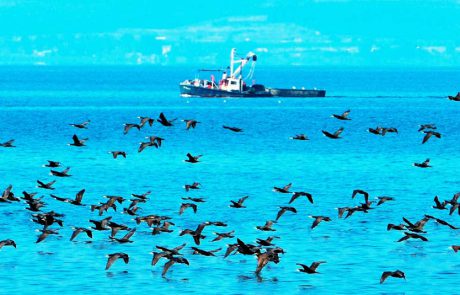 מכפר נחום לטבחה: מסלול טיול מומלץ לכל המשפחה ב’שביל סובב כינרת’