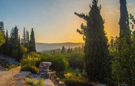 גלגולה של מנורה: מיצג אור-קולי מרהיב בבית שערים