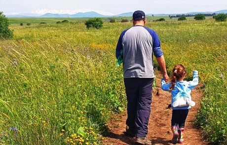 ממשיכים בטיולים והמשפחות נהנות