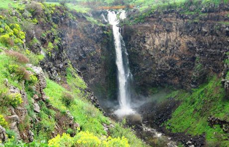 חוזרים לשגרה ומטיילים בטבע, מדרום ועד צפון הארץ