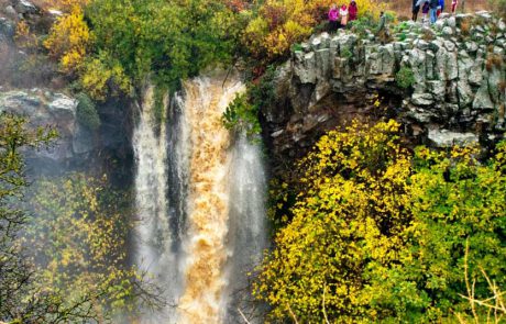 מטיילים בסופ”ש בצפון: בהר הפורח ובנחלים השוצפים