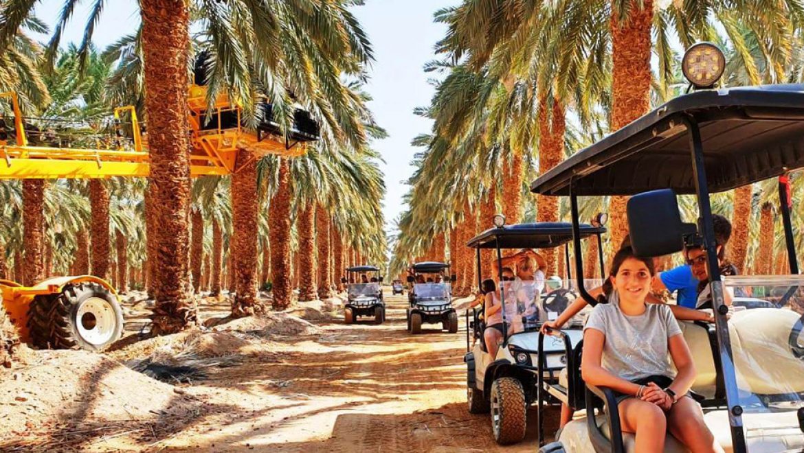 הערבה התיכונה, יש לה טעם ויש לה ריח