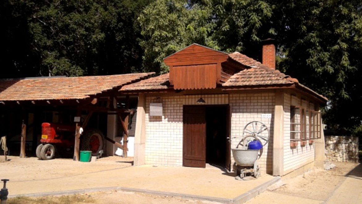 חוויות מראשית ההתיישבות ב’חצר הראשונים’,  בעין שמר