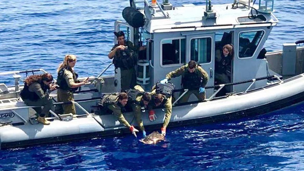 “צבא ההגנה לטבע – מפקדים לוקחים אחריות על סביבתם”