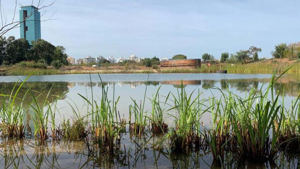 מהירקון לצבעון, מעקרבים לתנינים, מאוג לרודד ומשורק לפרת