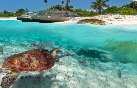 מהו מקור ההשראה הנפוץ לנסיעות? טלוויזיה, סרט או רשתות חברתיות?