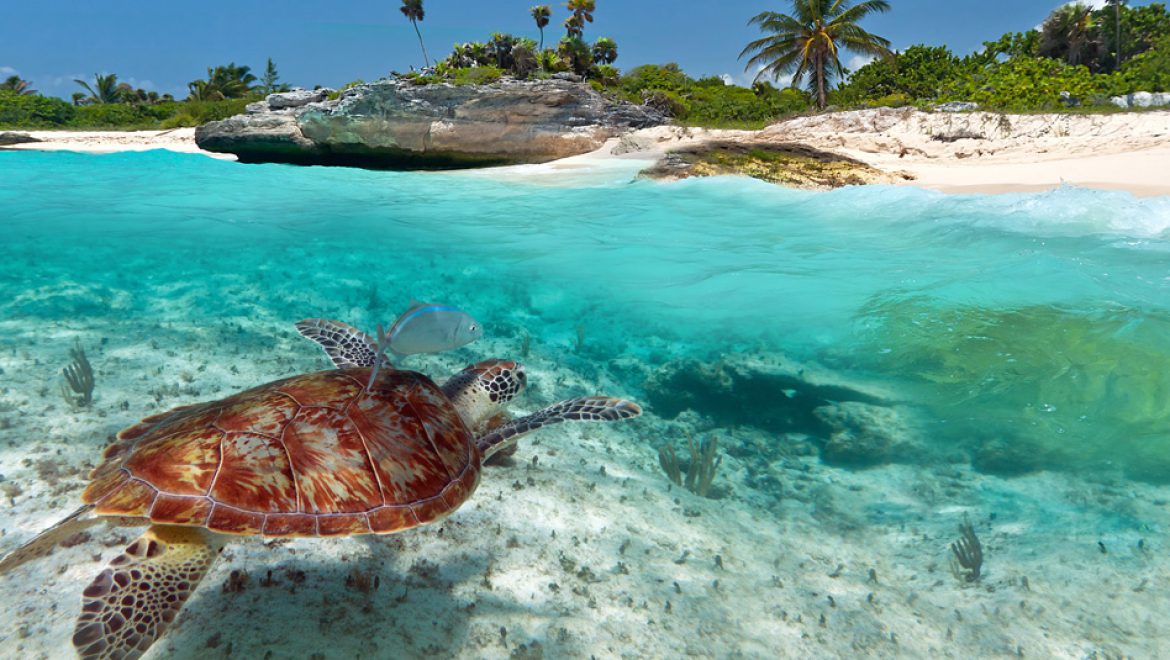 מהו מקור ההשראה הנפוץ לנסיעות? טלוויזיה, סרט או רשתות חברתיות?