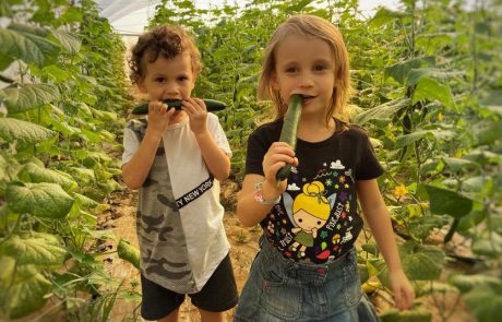 אי ירוק בעיר – סיור חקלאות וקטיף עצמי למשפחות