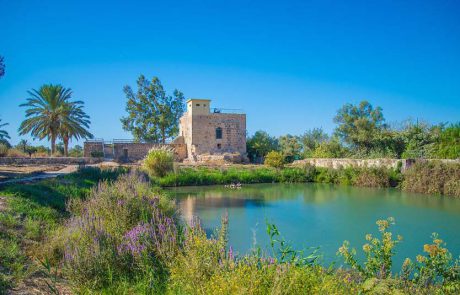 שנהיה לראש שיש לו זנב ושמו סב-ראש