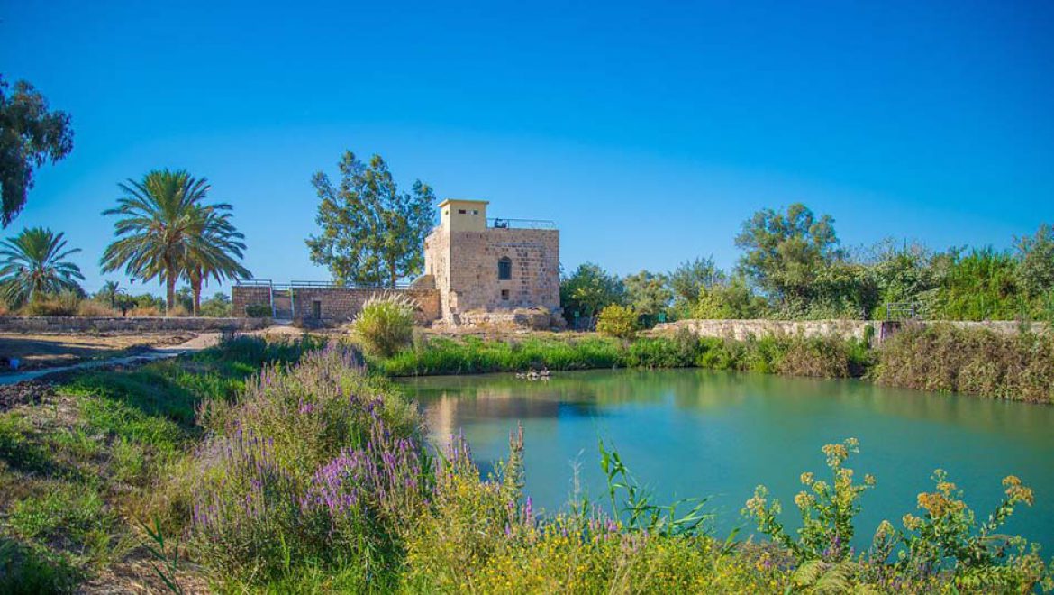 שנהיה לראש שיש לו זנב ושמו סב-ראש