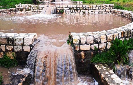 מסיק זיתים, הופעות וסדנאות לילדים: אירועי קק”ל בחג סוכות וחוה”מ