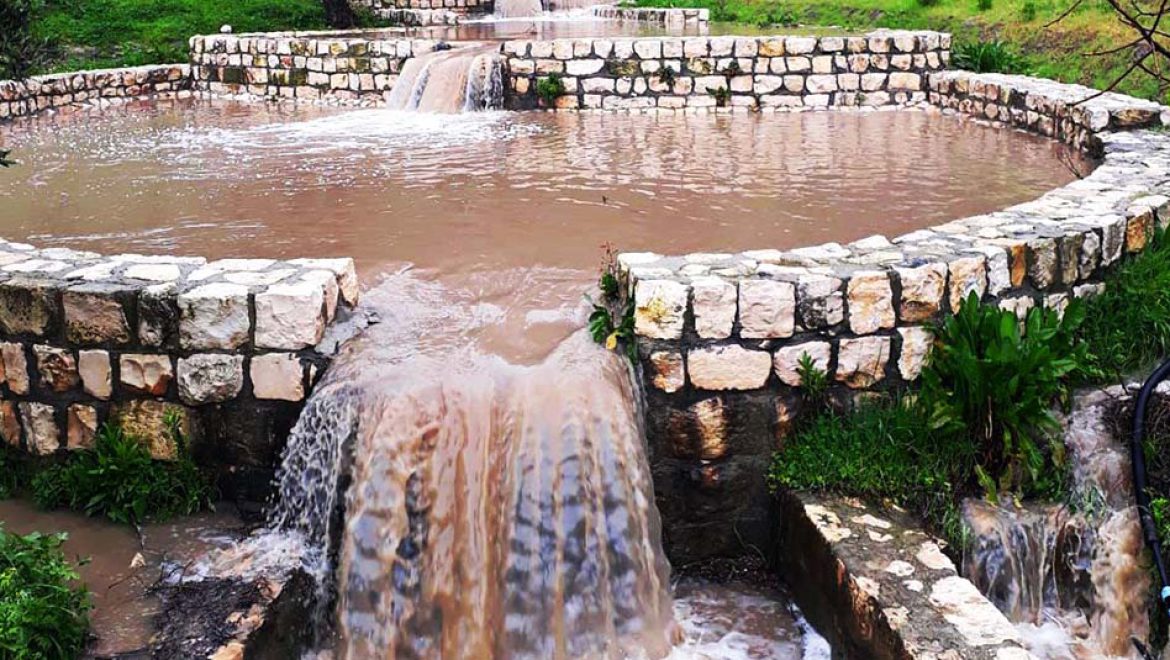 מסיק זיתים, הופעות וסדנאות לילדים: אירועי קק”ל בחג סוכות וחוה”מ