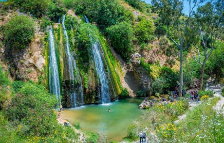 רשות הטבע והגנים מציעה בילוי משפחתי מהנה באתריה