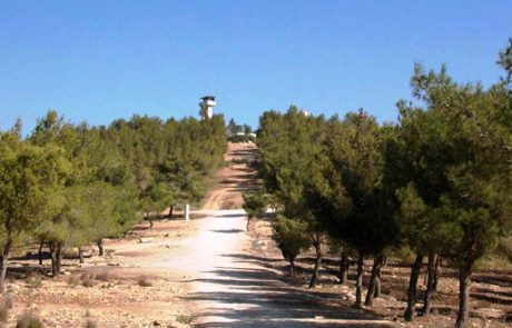 שישה מסלולי טיול משפחתיים באזור הדרום