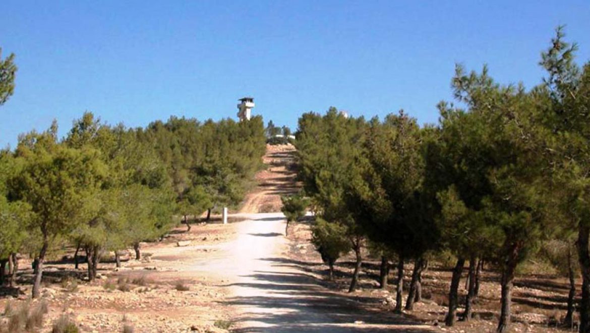 שישה מסלולי טיול משפחתיים באזור הדרום