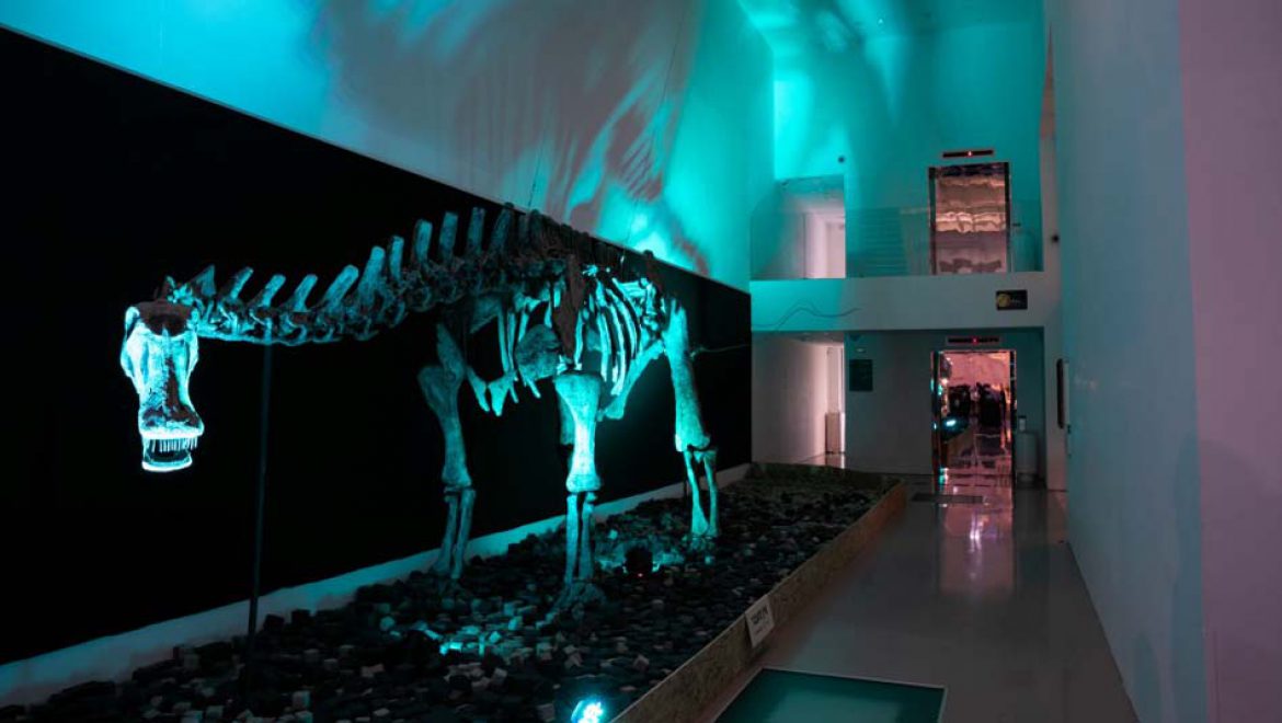 ‘פארק קרסו למדע’ בבאר שבע מציג פעילות מדעית מדליקה