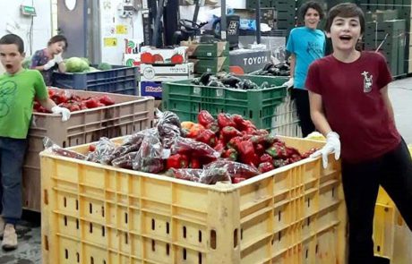 כבוד לחקלאי הערבה ולבני הנוער המתנדבים