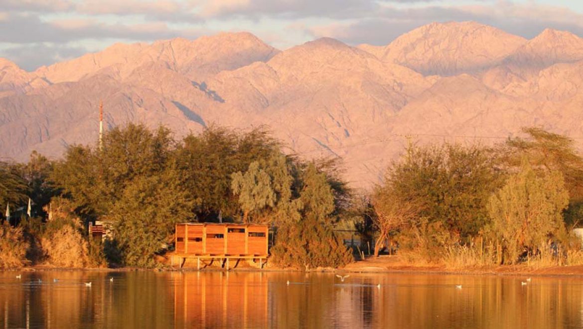 סדנת נדידת ציפורים והפנינג סוכות בפארק הצפרות