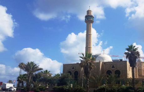 בית קובי מזמין: חורף חם עם סיורים מודרכים בחינם ביפו