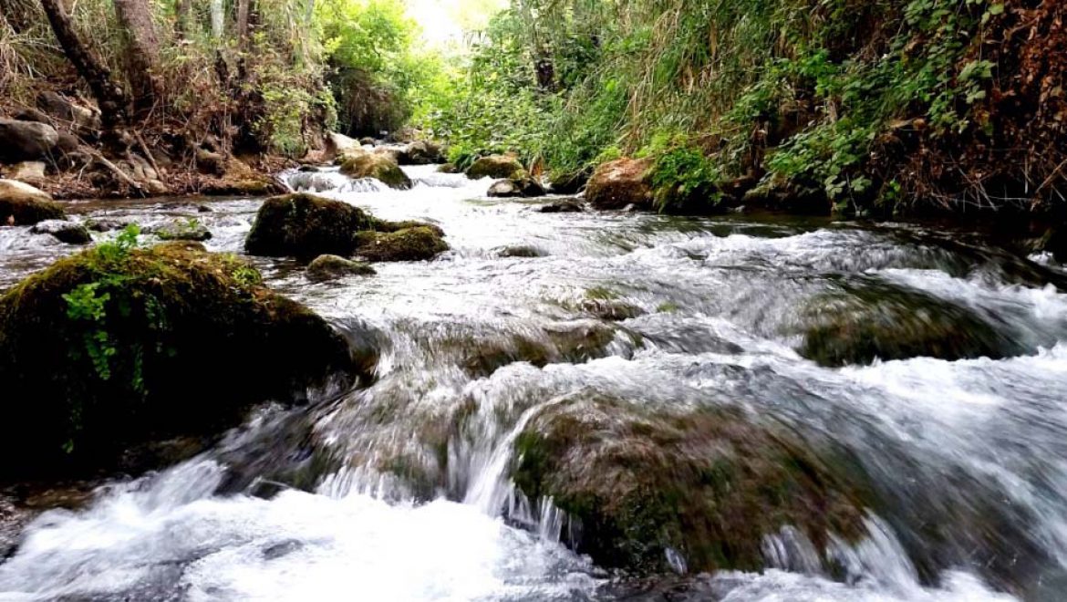 מפה אינטראקטיבית: לטייל בטבע המרהיב קרוב לבית