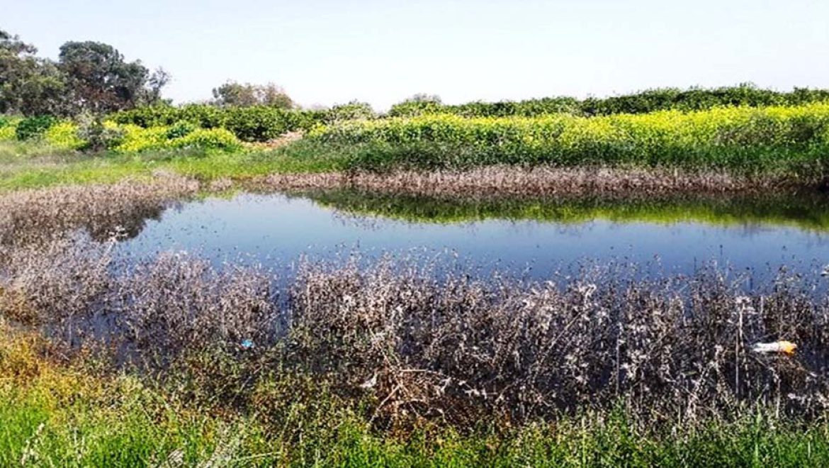 למשפחות המטיילות מוצעות הנחיות לטיול בטוח