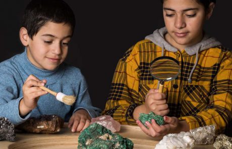 בוחרים בירושלים: עולים לעיר הקודש, מצביעים, משפיעים, מבלים ונהנים