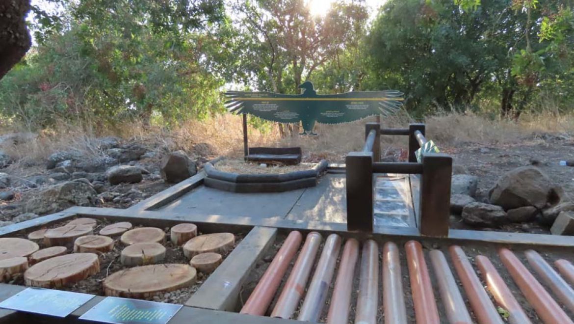 פספורטבע ישראלי: בואו לשחק באתרי הטבע בישראל