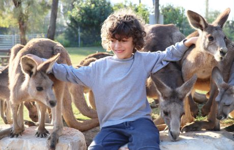 סוכות ‘שומרי טבע’ בגן גורו: פעילות מיוחדת המוקדשת לטבע ולבעלי החיים