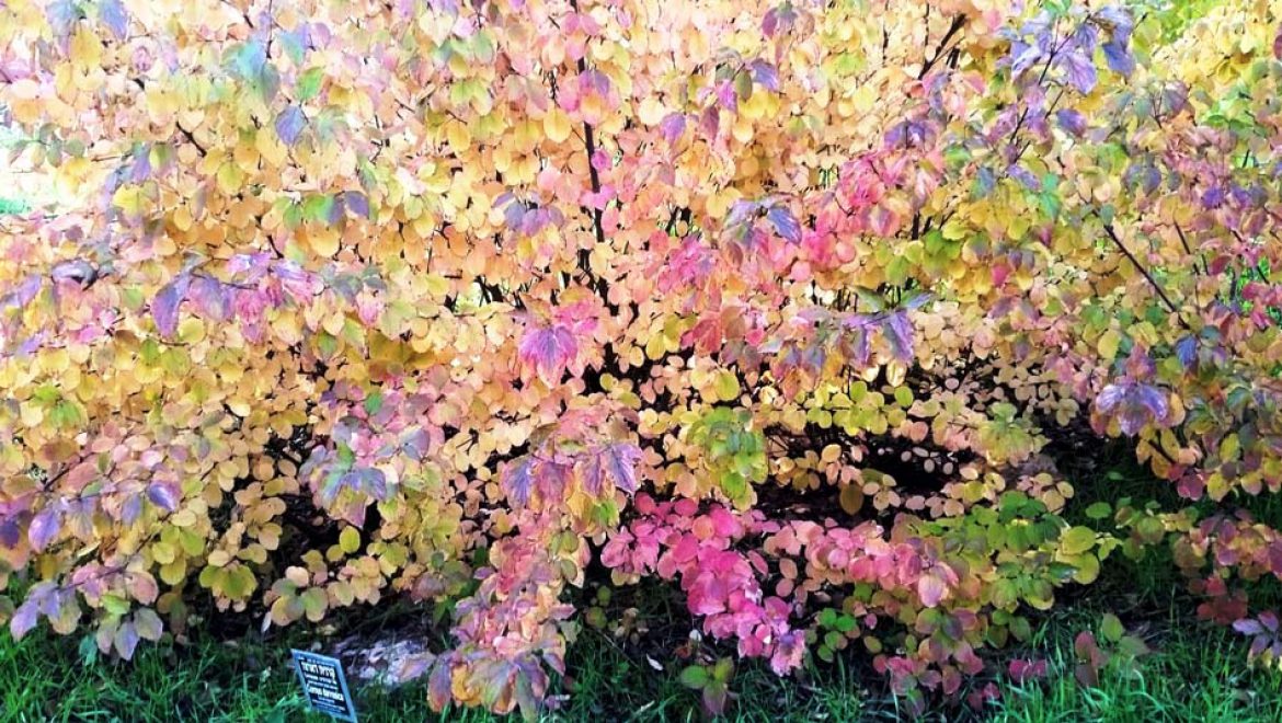 בחזרה אל הטבע בגן הבוטני האוניברסיטאי בירושלים