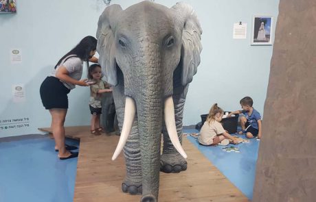 חיות והצגות: במוזיאון האדם והחי ברמת גן
