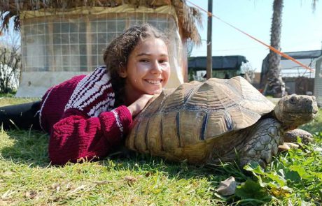 חוגגים סוכות בצפון הנגב, עם שלל אטרקציות לכל המשפחה