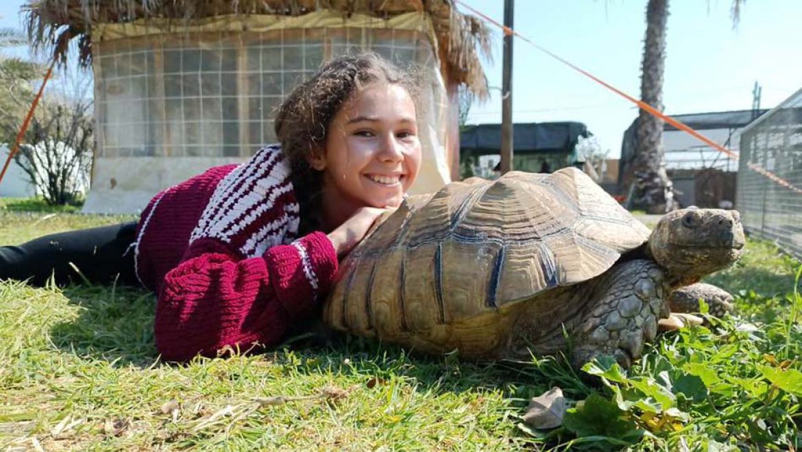 חוגגים סוכות בצפון הנגב, עם שלל אטרקציות לכל המשפחה
