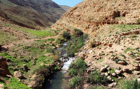 יוצאים מהסוכה עם המשפחה לבקעת הירדן וחבל בנימין