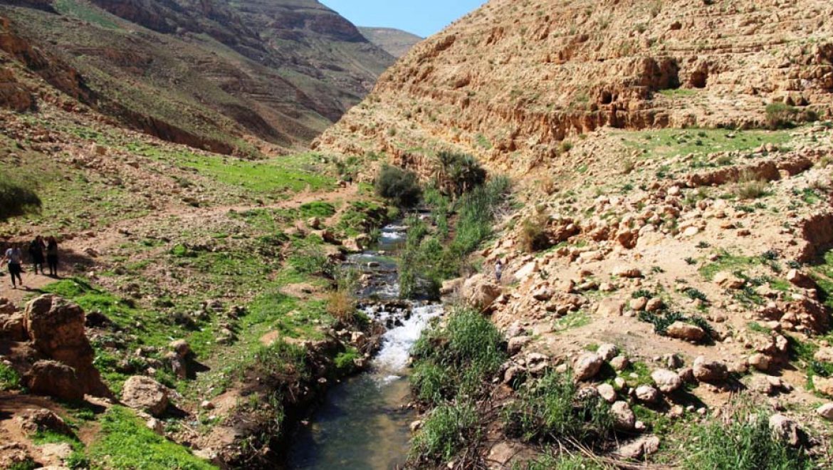 יוצאים מהסוכה עם המשפחה לבקעת הירדן וחבל בנימין