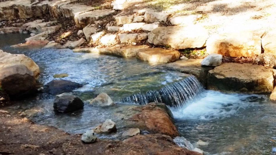 פארק המעיינות: מים זורמים, ציפורים נודדות ומשפחות מכייפות