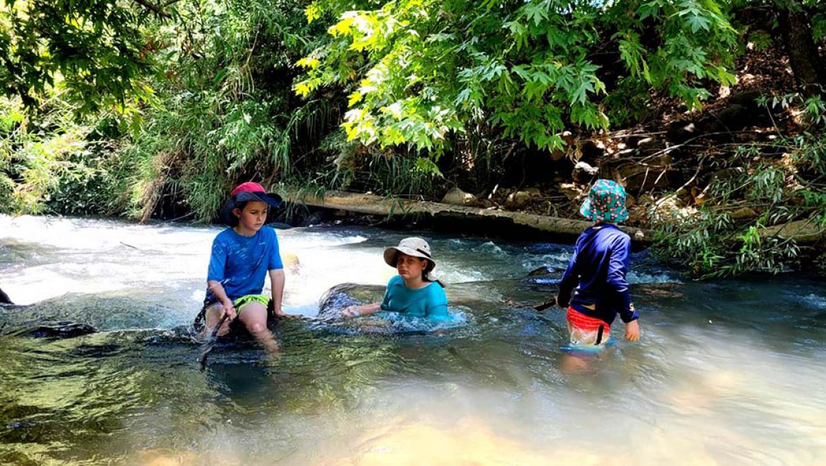בחופשת הקיץ מוזמנות המשפחות לטייל ולבלות בפעילויות בטבע