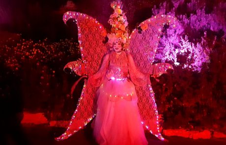 פיות ופרחים, איילים ופרפרים, אלמנטים מוארים, ב- Winter Lights