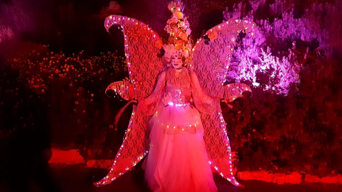 פיות ופרחים, איילים ופרפרים, אלמנטים מוארים, ב- Winter Lights