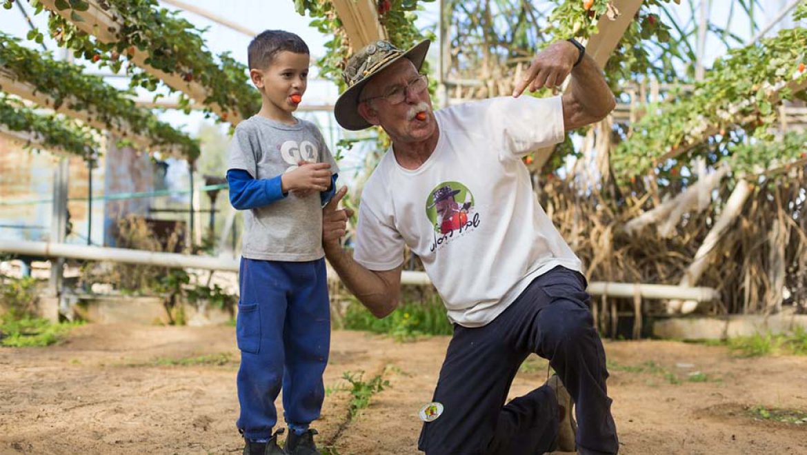 חוזרים אל הדרום: חנוכה משפחתי בצפון הנגב