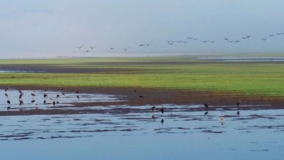 קרן קימת לישראל מתכבדת להודיע על פתיחתו של אגמון החולה