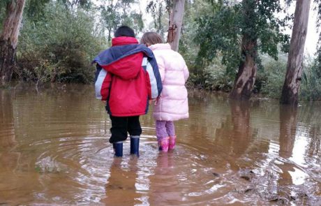 פעילויות למשפחה ליום העולמי לשמירה על בתי הגידול המימיים
