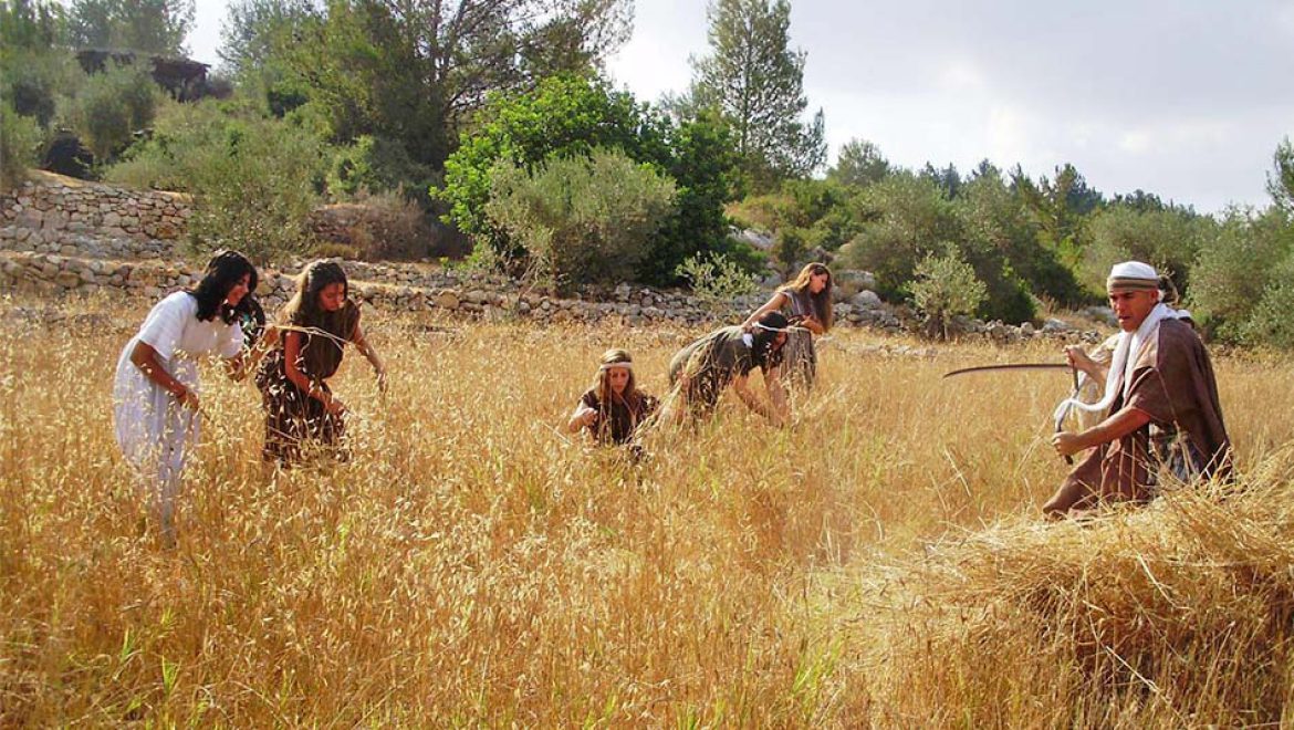 המשפחות חוגגות את חג הביכורים, בצפון הנגב ובחבל מודיעין