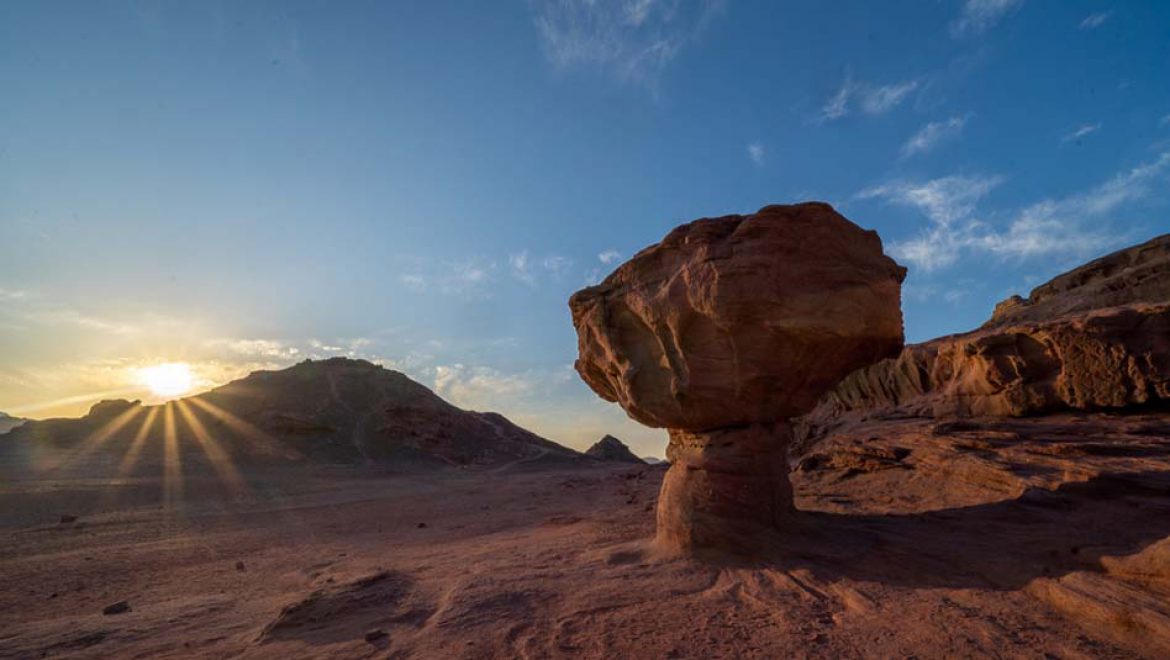 פארק תמנע: מגוון פעילויות וחוויות מדבר לכל המשפחה