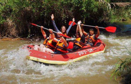 אבוקיאק: כל המשפחה זורמת