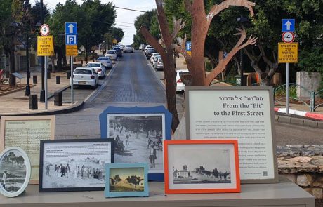 מטיילים וחוגגים עם מוזאון גדרה בט”ו בשבט